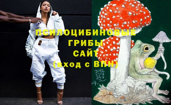 трава Белокуриха
