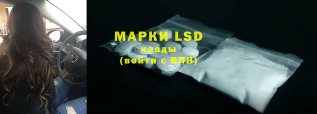 трава Белокуриха