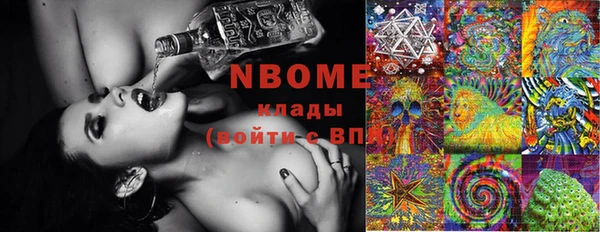 шишки Балахна