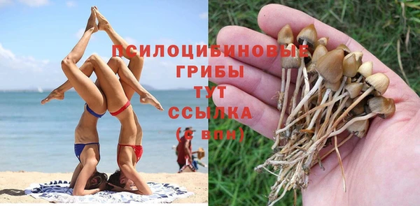 марихуана Беломорск