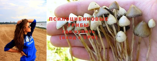 шишки Балахна